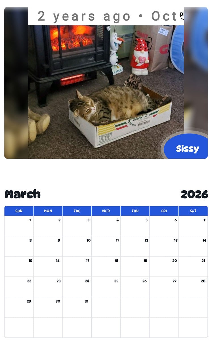November 2025 - October 2026 Sissy - Pawidols Pet Calendar