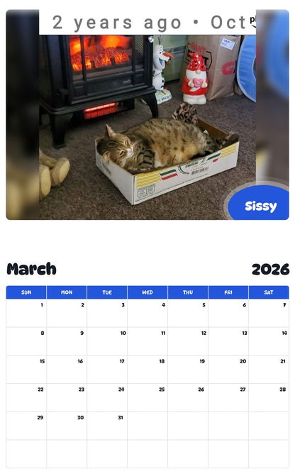 November 2025 - October 2026 Sissy - Pawidols Pet Calendar