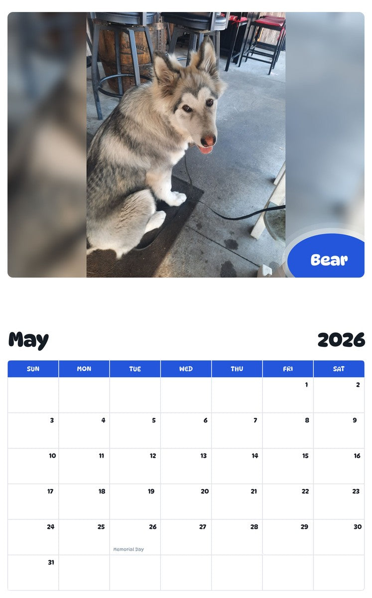 2026 - 2027 Bear - Pawidols Pet Calendar