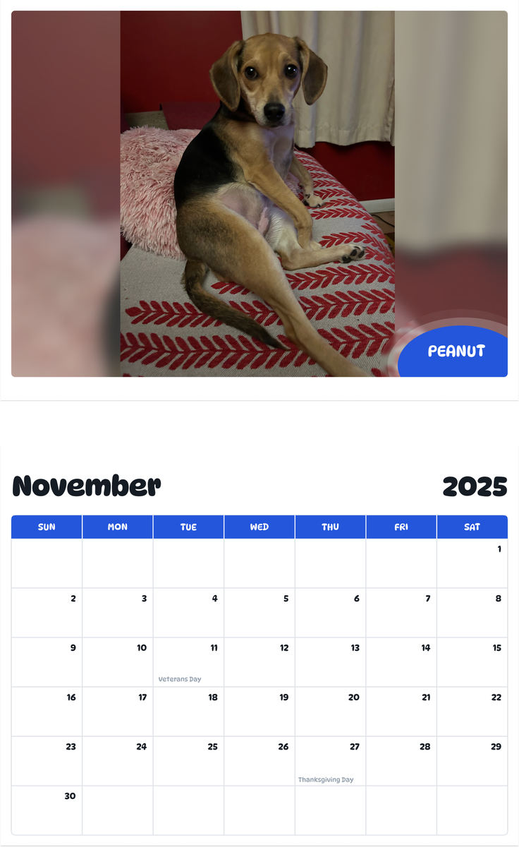 July 2025 - June 2026 Peanut - Pawidols Pet Calendar