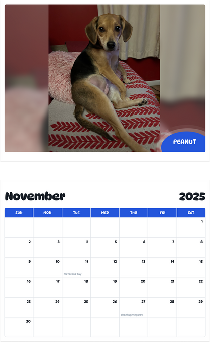 July 2025 - June 2026 Peanut - Pawidols Pet Calendar