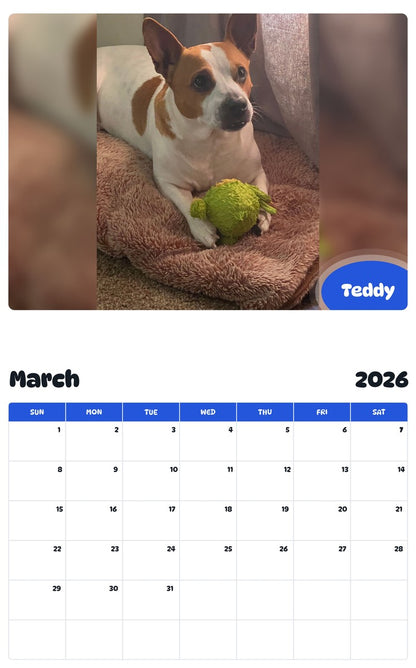 November 2025 - October 2026 Teddy - Pawidols Pet Calendar