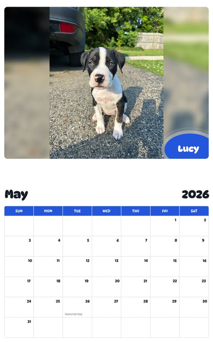 2026 - 2027 Lucy - Pawidols Pet Calendar