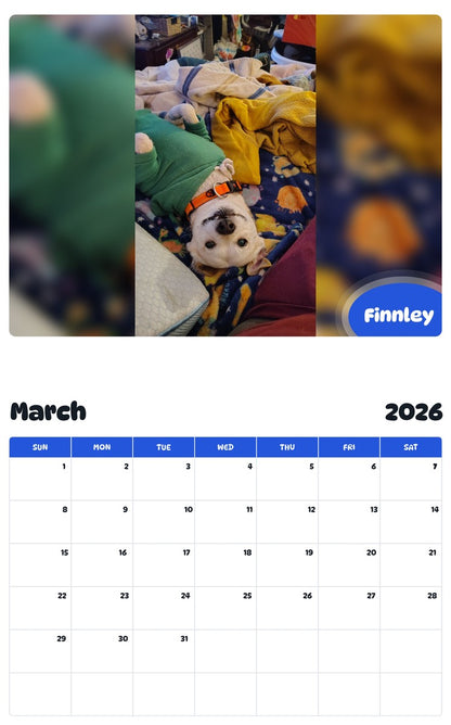 November 2025 - October 2026 Finnley - Pawidols Pet Calendar