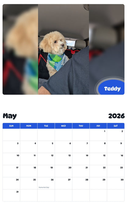 2026 - 2027 Teddy - Pawidols Pet Calendar