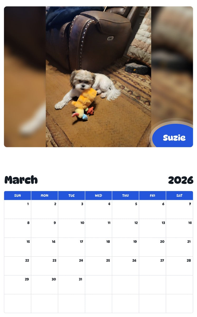 November 2025 - October 2026 Suzie - Pawidols Pet Calendar