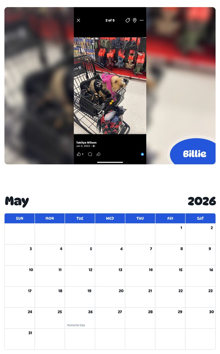2026 - 2027 Billie - Pawidols Pet Calendar