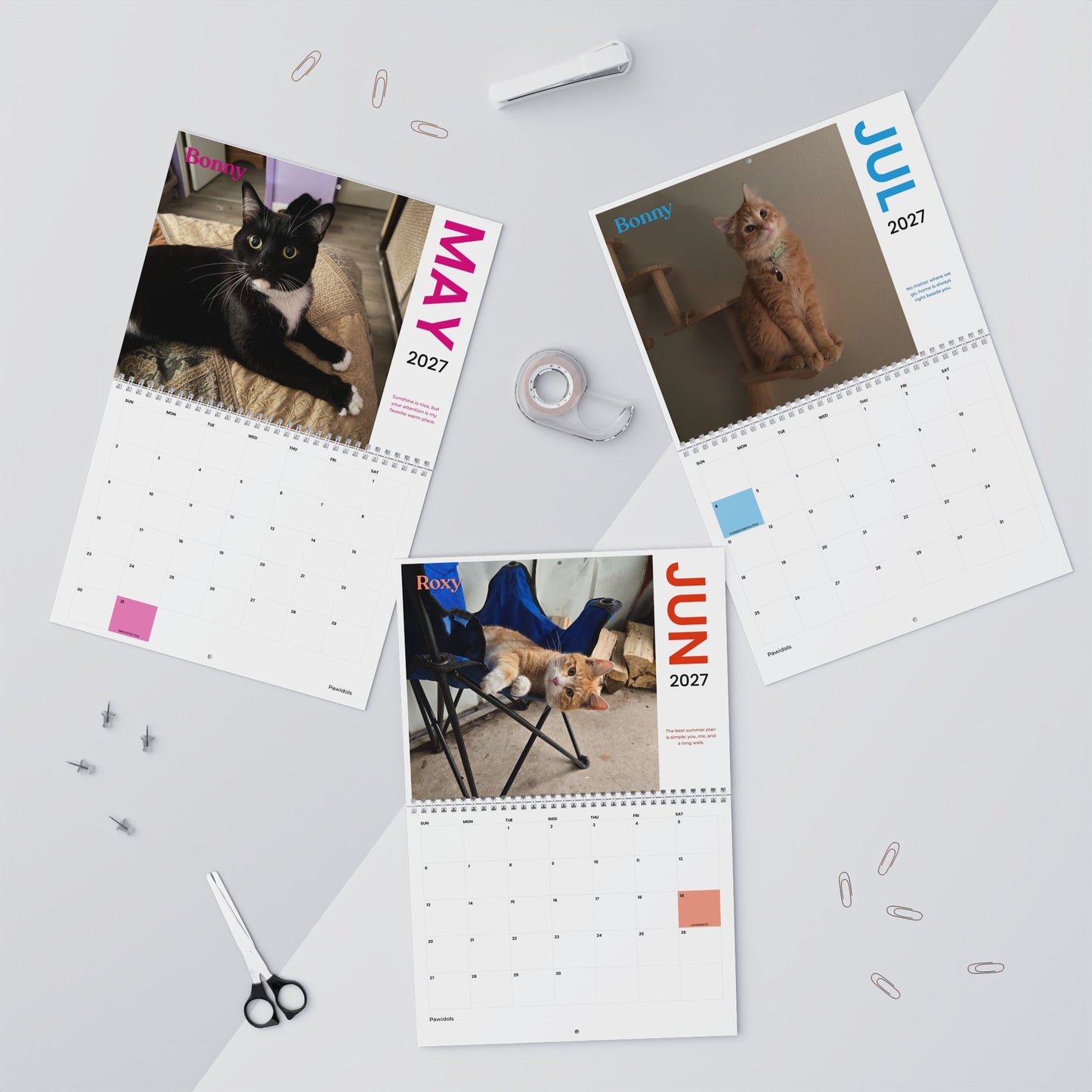 NEW Paw Calendar CAT November 2026 - October 2027