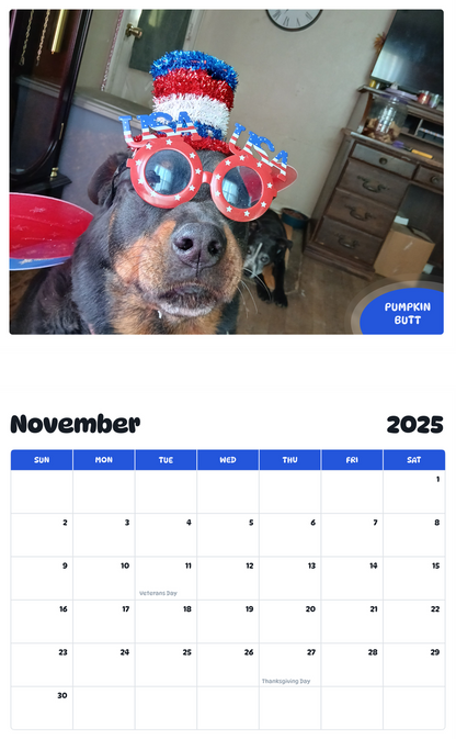 July 2025 - June 2026 Pumpkin butt - Pawidols Pet Calendar