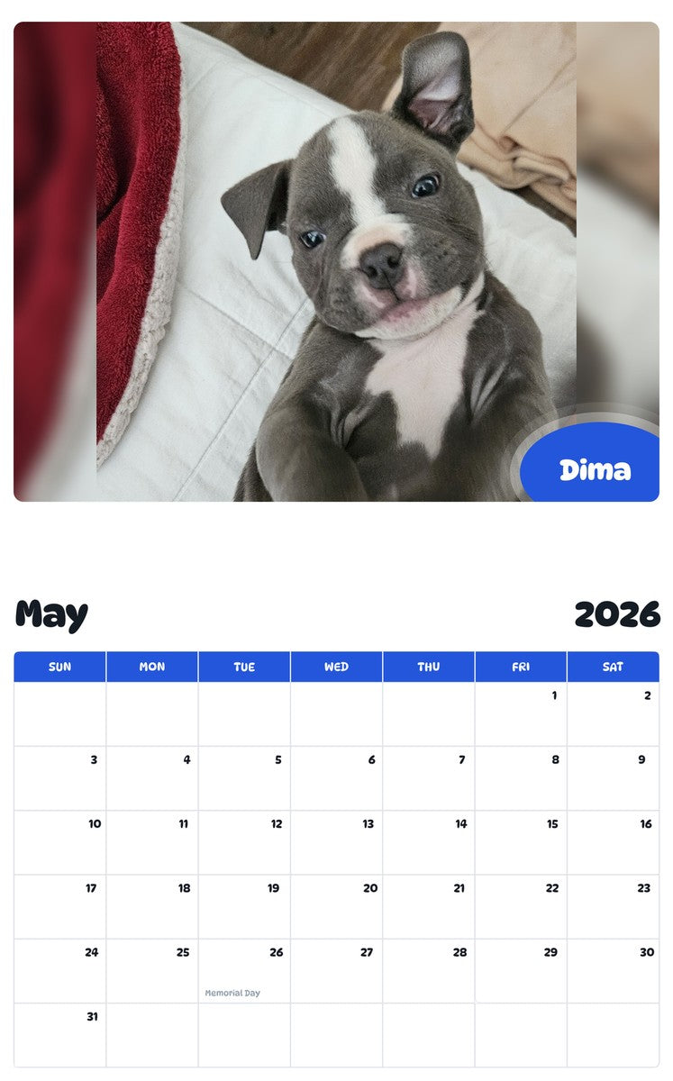 2026 - 2027 Dima - Pawidols Pet Calendar