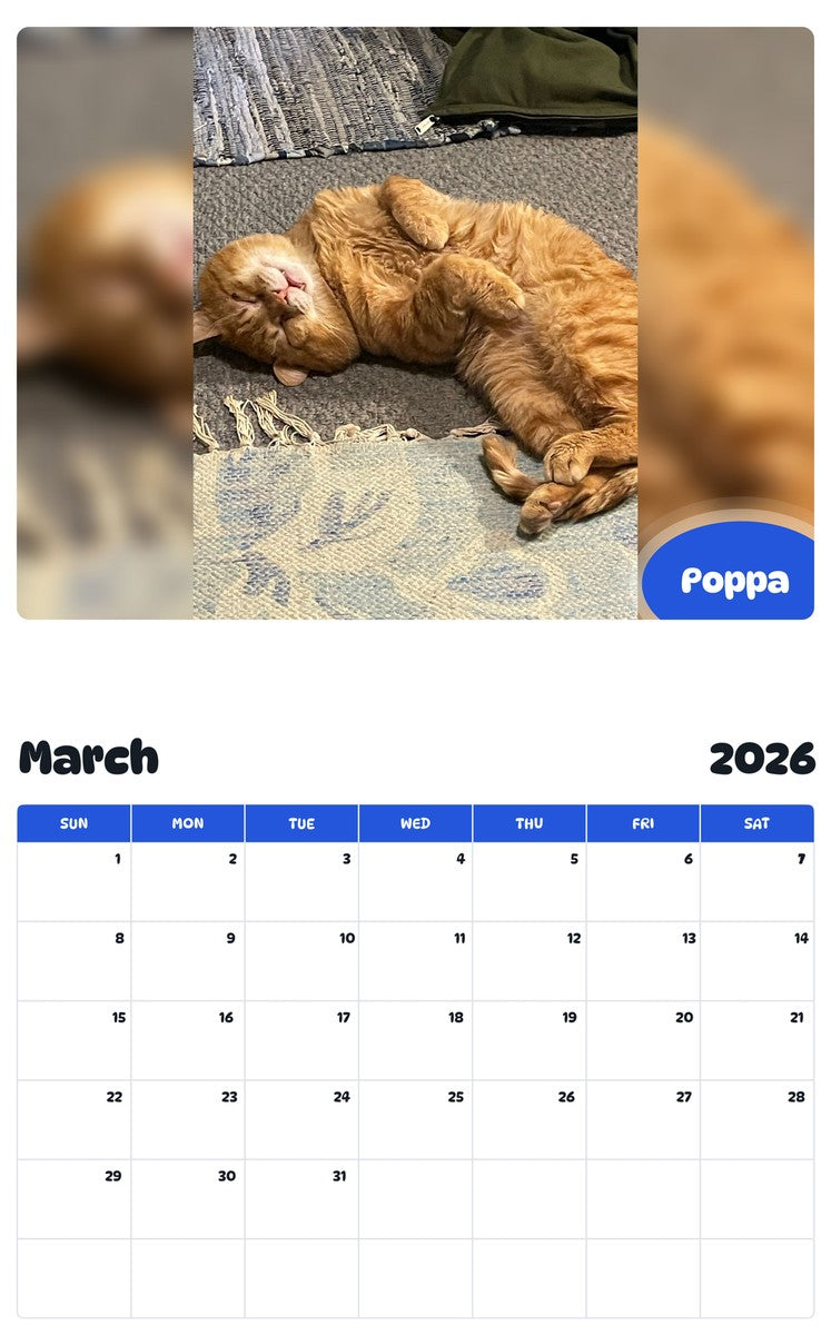 November 2025 - October 2026 Poppa - Pawidols Pet Calendar