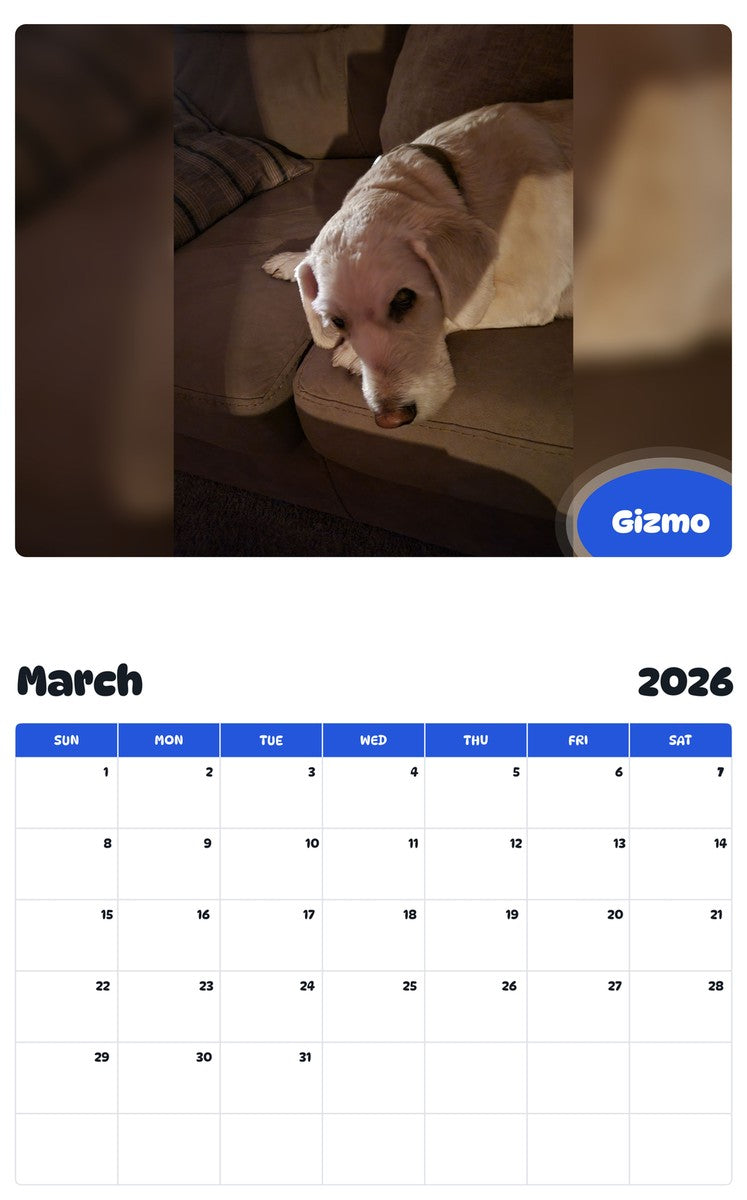 November 2025 - October 2026 Gizmo - Pawidols Pet Calendar