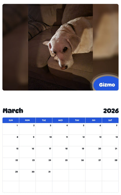 November 2025 - October 2026 Gizmo - Pawidols Pet Calendar