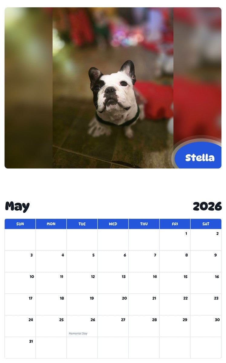 2026 - 2027 Stella - Pawidols Pet Calendar