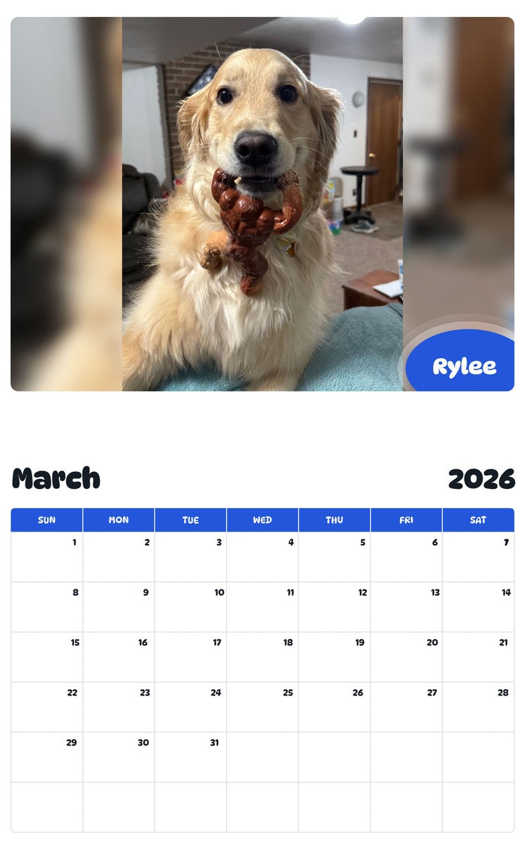 November 2025 - October 2026 Rylee - Pawidols Pet Calendar