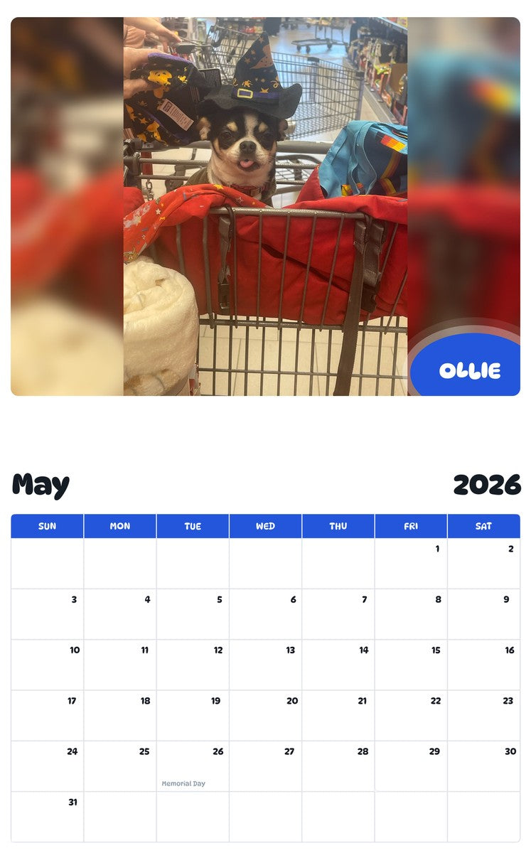 2026 - 2027 OLLIE - Pawidols Pet Calendar