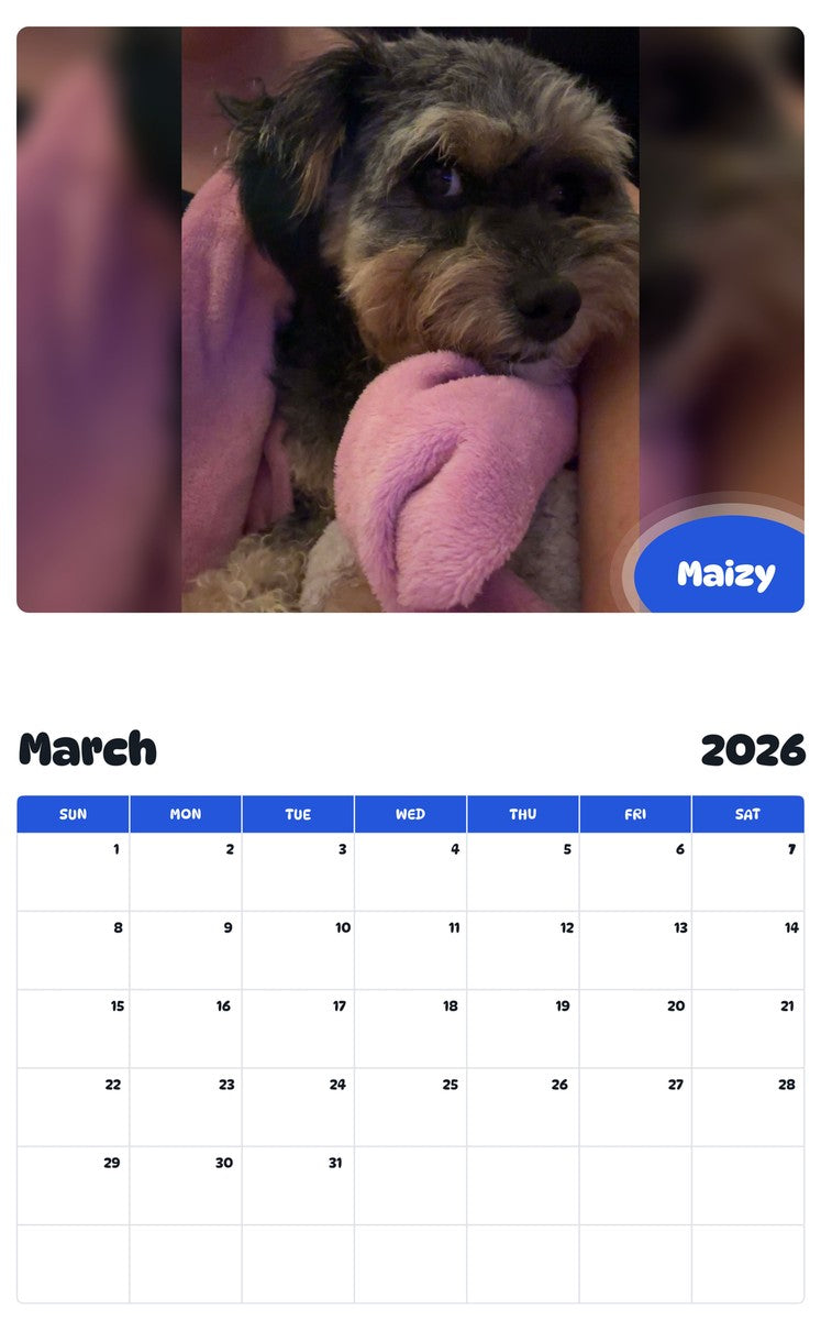 November 2025 - October 2026 Maizy - Pawidols Pet Calendar