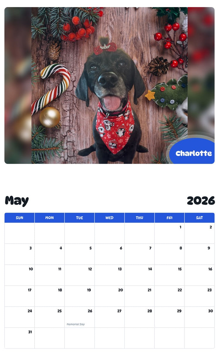 2026 - 2027 Charlotte - Pawidols Pet Calendar