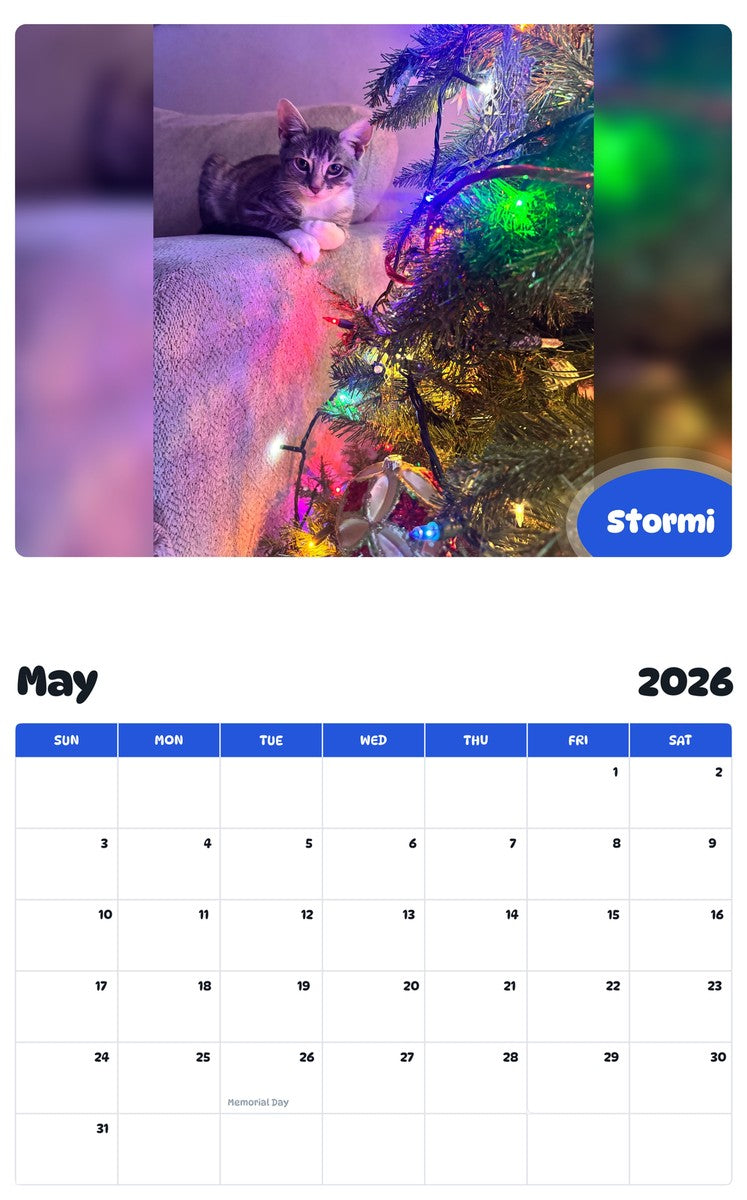 2026 - 2027 Stormi - Pawidols Pet Calendar