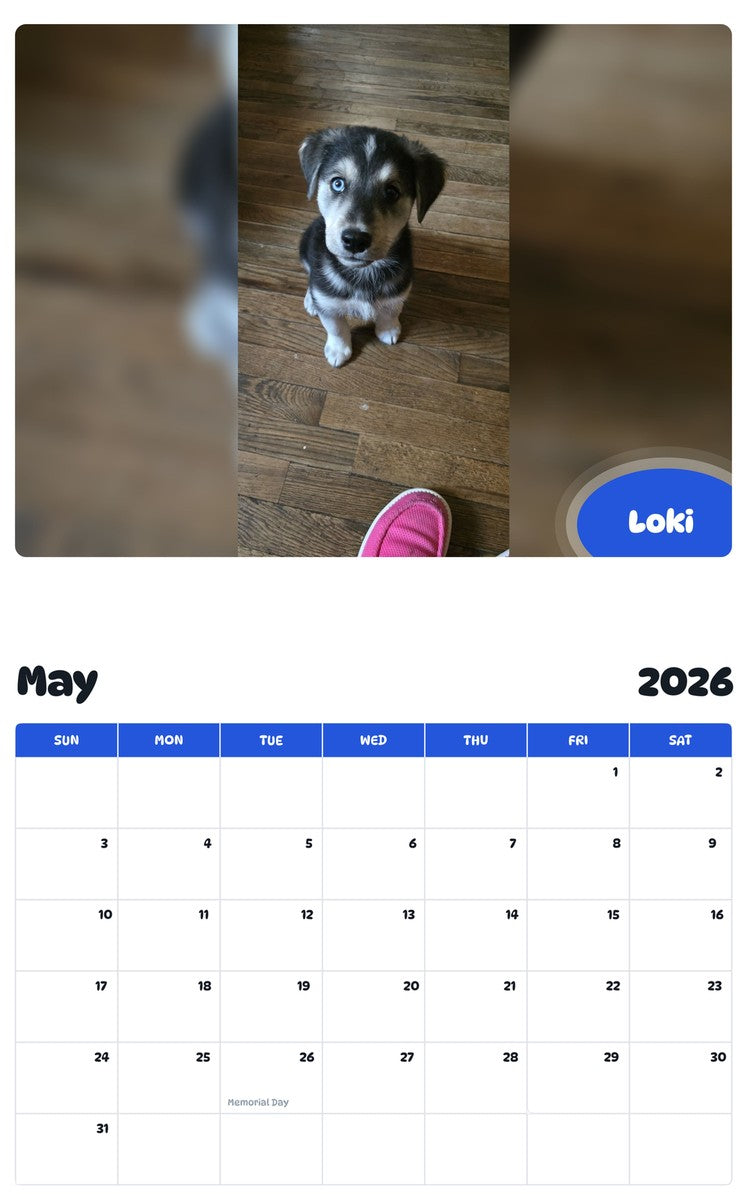 2026 - 2027 Loki - Pawidols Pet Calendar