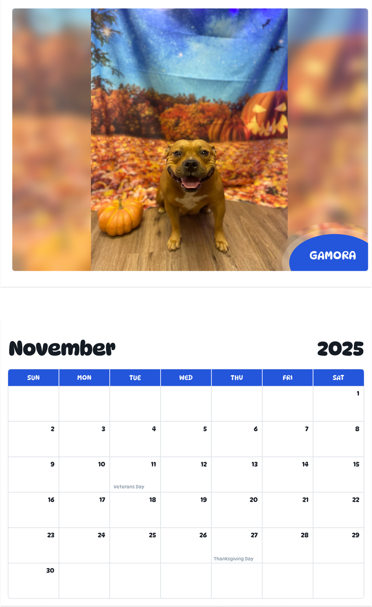 July 2025 - June 2026 Gamora - Pawidols Pet Calendar
