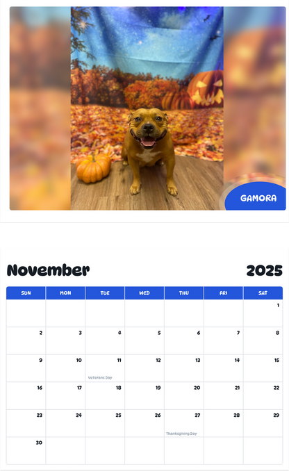 July 2025 - June 2026 Gamora - Pawidols Pet Calendar