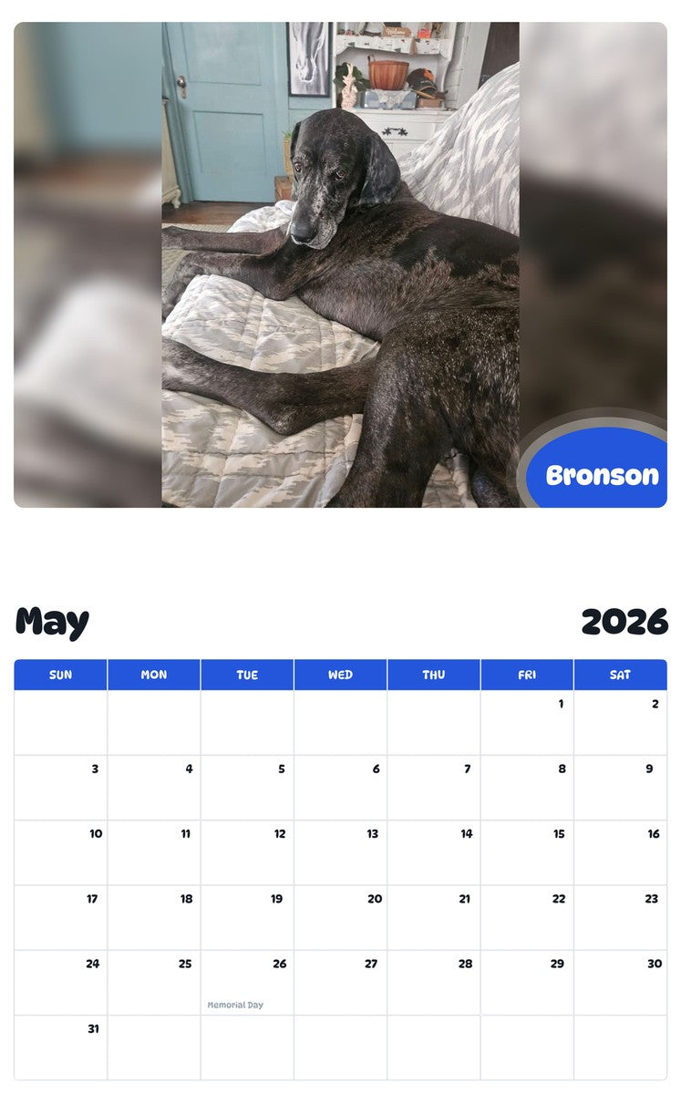 2026 - 2027 Bronson - Pawidols Pet Calendar
