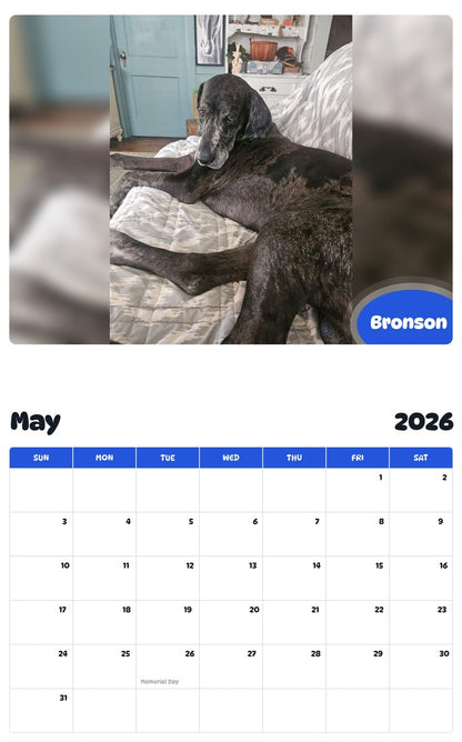 2026 - 2027 Bronson - Pawidols Pet Calendar
