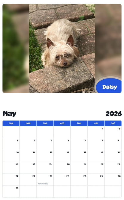 2026 - 2027 Daisy - Pawidols Pet Calendar