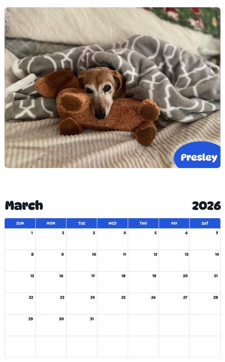 November 2025 - October 2026 Presley - Pawidols Pet Calendar