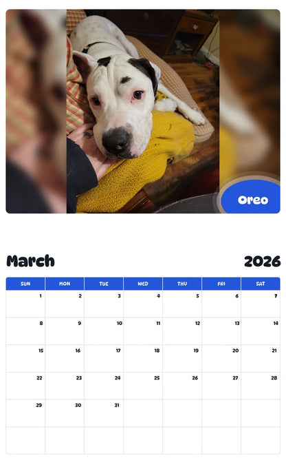 November 2025 - October 2026 Oreo - Pawidols Pet Calendar