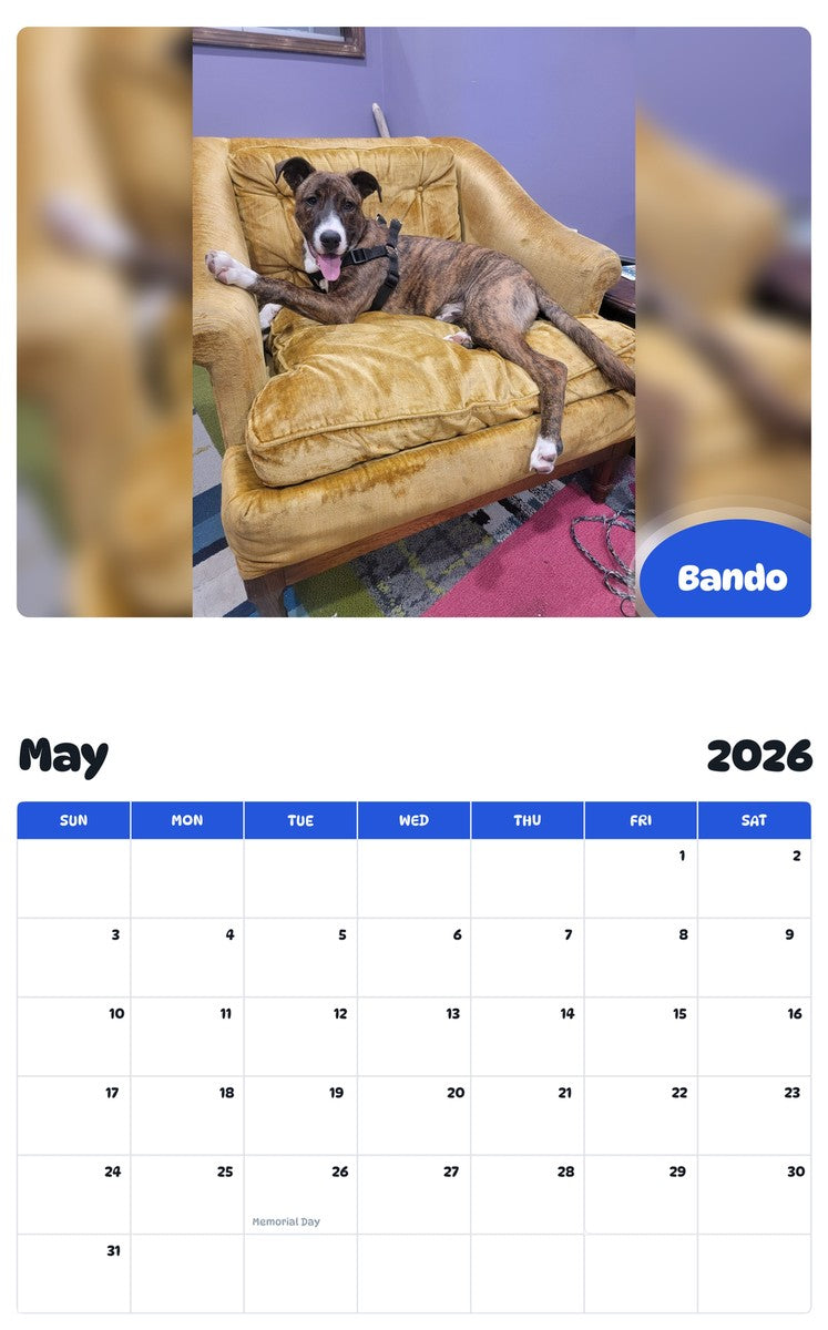 2026 - 2027 Bando - Pawidols Pet Calendar