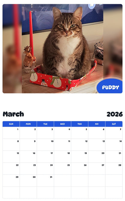 November 2025 - October 2026 PUDDY - Pawidols Pet Calendar