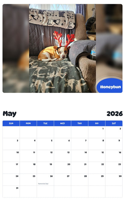 2026 - 2027 Honeybun - Pawidols Pet Calendar