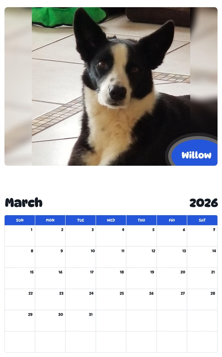November 2025 - October 2026 Willow - Pawidols Pet Calendar
