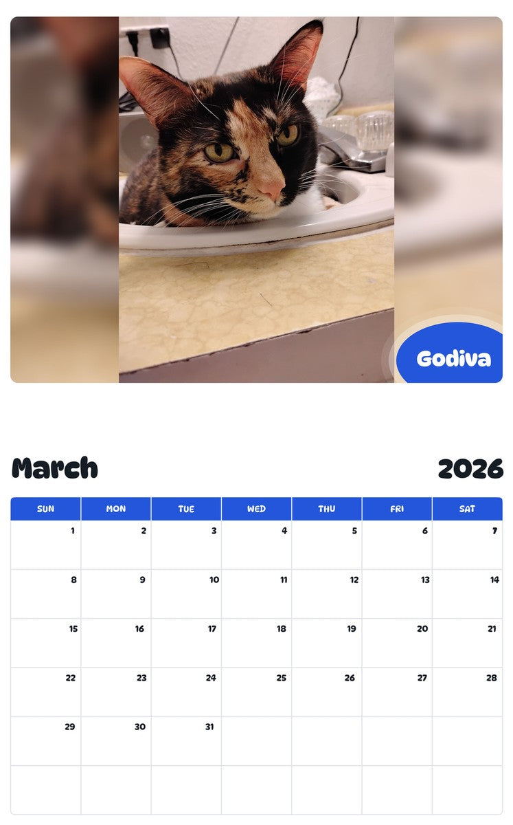 November 2025 - October 2026 Godiva - Pawidols Pet Calendar