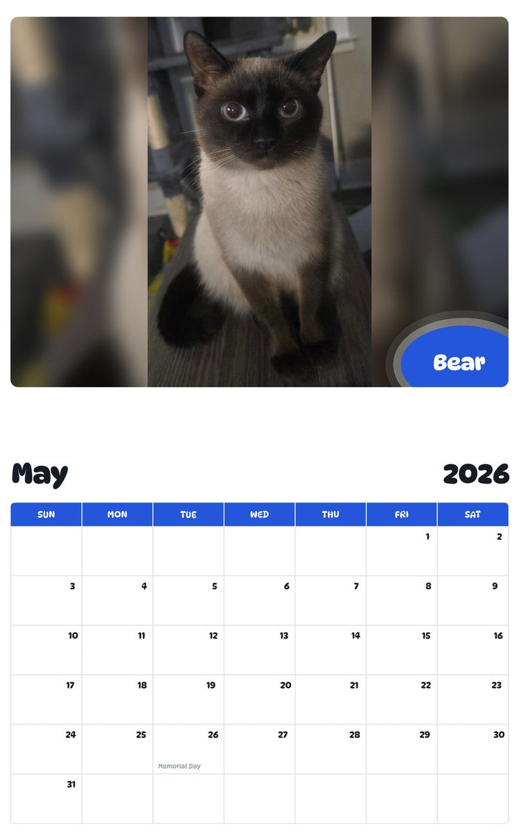 2026 - 2027 Bear - Pawidols Pet Calendar