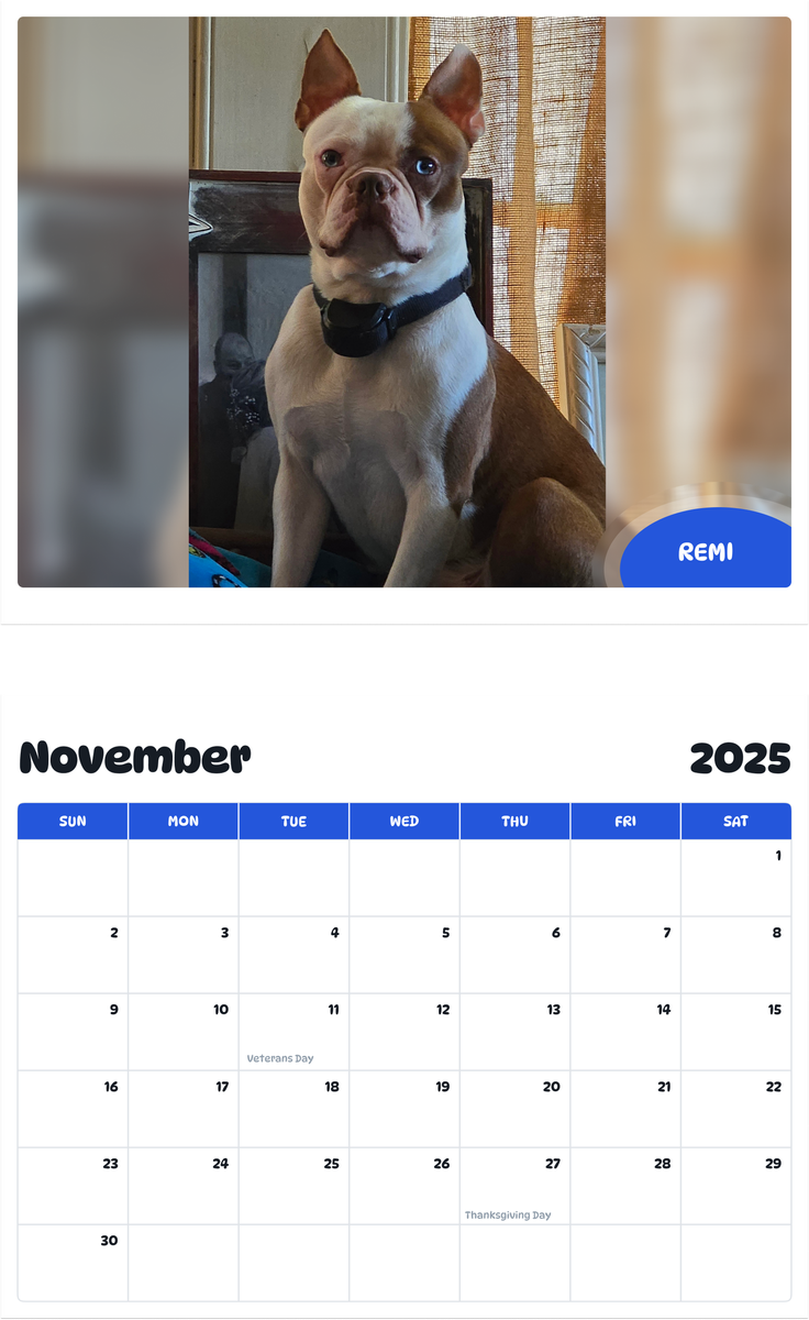 July 2025 - June 2026 Remi - Pawidols Pet Calendar