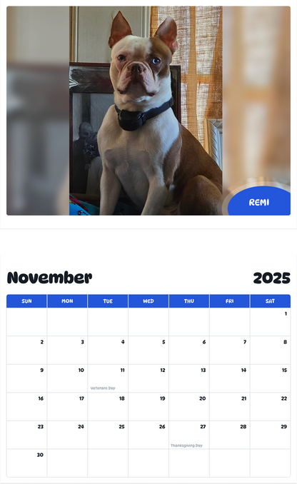 July 2025 - June 2026 Remi - Pawidols Pet Calendar