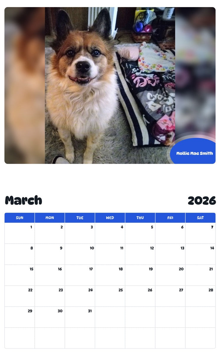 November 2025 - October 2026 Mollie Mae Smith - Pawidols Pet Calendar