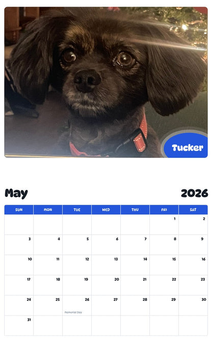 2026 - 2027 Tucker - Pawidols Pet Calendar