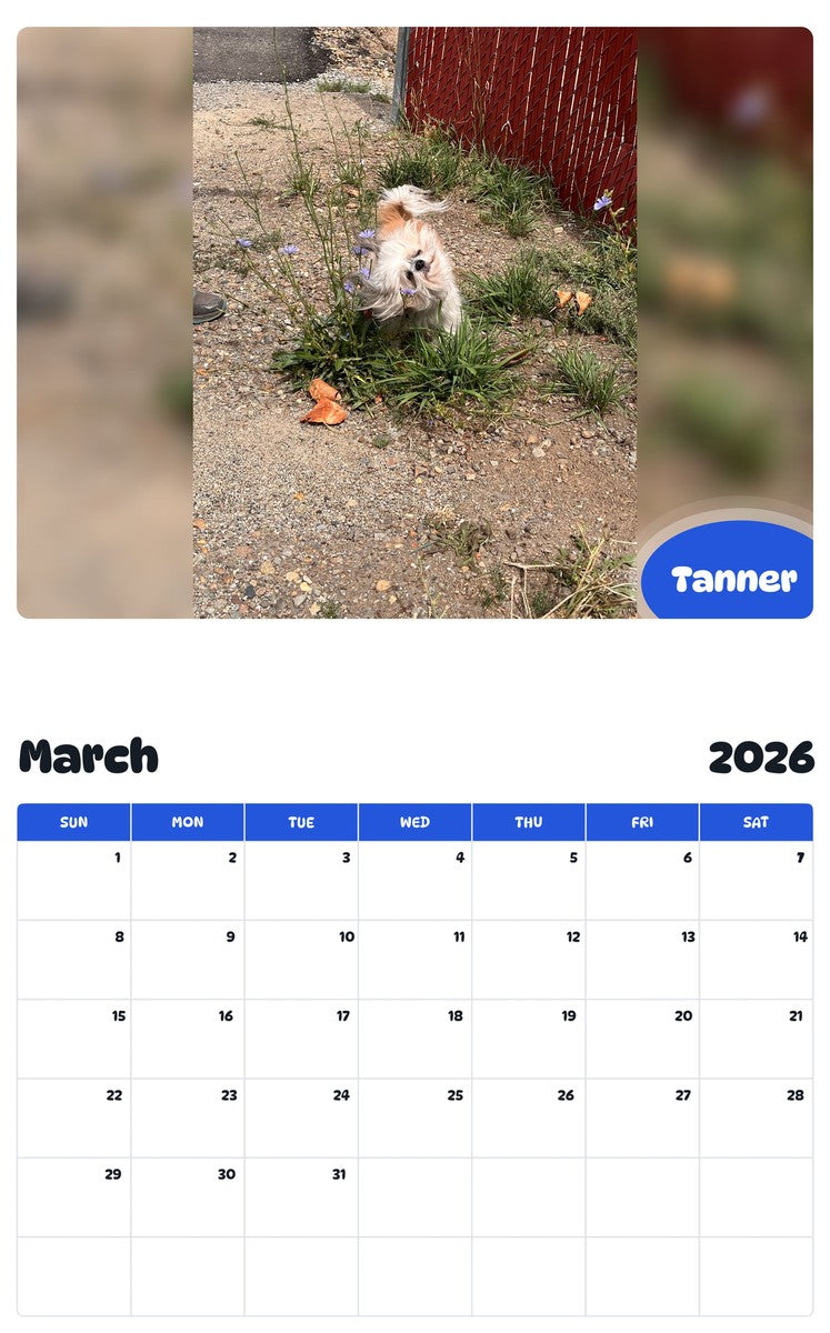 November 2025 - October 2026 Tanner - Pawidols Pet Calendar