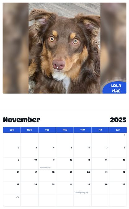 July 2025 - June 2026 Lola Mae - Pawidols Pet Calendar
