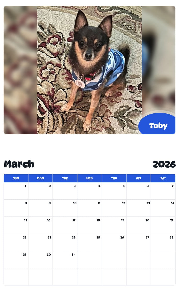 November 2025 - October 2026 Toby - Pawidols Pet Calendar