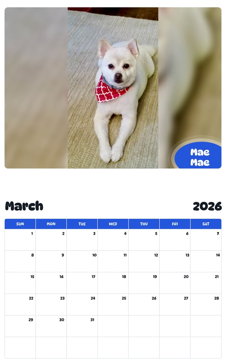 November 2025 - October 2026 Mae Mae - Pawidols Pet Calendar