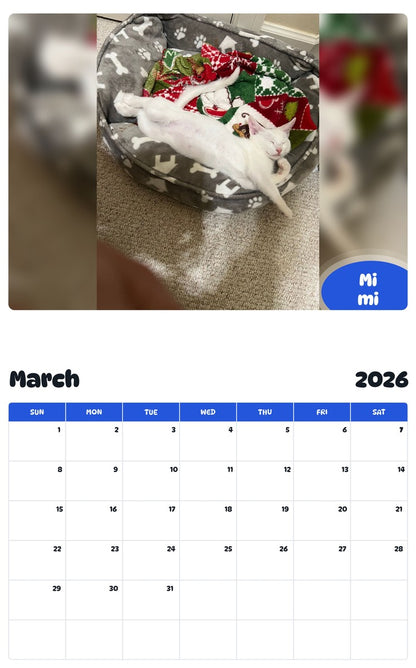 November 2025 - October 2026 Mi mi - Pawidols Pet Calendar