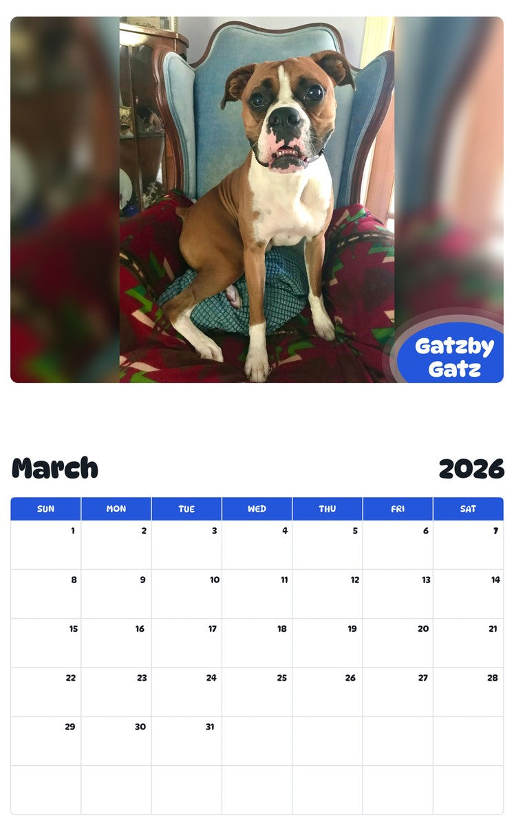 November 2025 - October 2026 Gatzby Gatz - Pawidols Pet Calendar