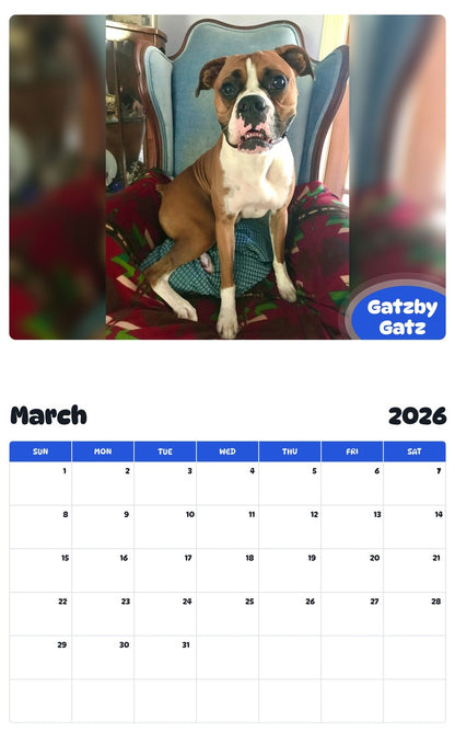 November 2025 - October 2026 Gatzby Gatz - Pawidols Pet Calendar