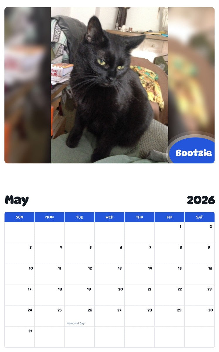 2026 - 2027 Bootzie - Pawidols Pet Calendar