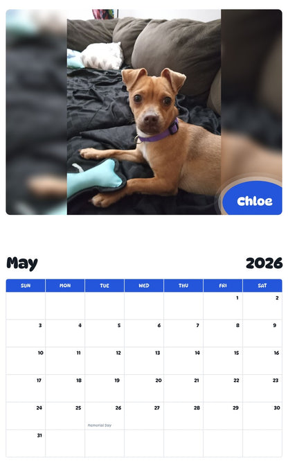 2026 - 2027 Chloe - Pawidols Pet Calendar